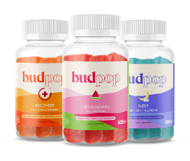 Budpop  Indica CBD Gummies